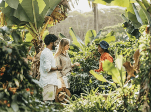 Coffee tour chamarel